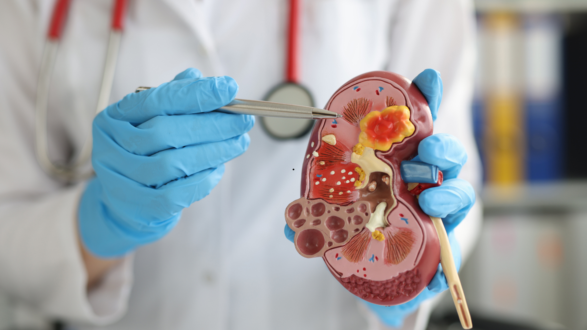 Renal-Friendly Plans